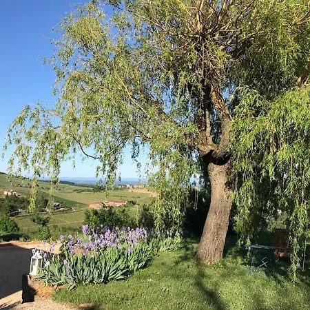 L'esprit Des Vignes Bed & Breakfast Saint-Verand (Saone-et-Loire)